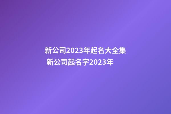 新公司2023年起名大全集 新公司起名字2023年-第1张-公司起名-玄机派